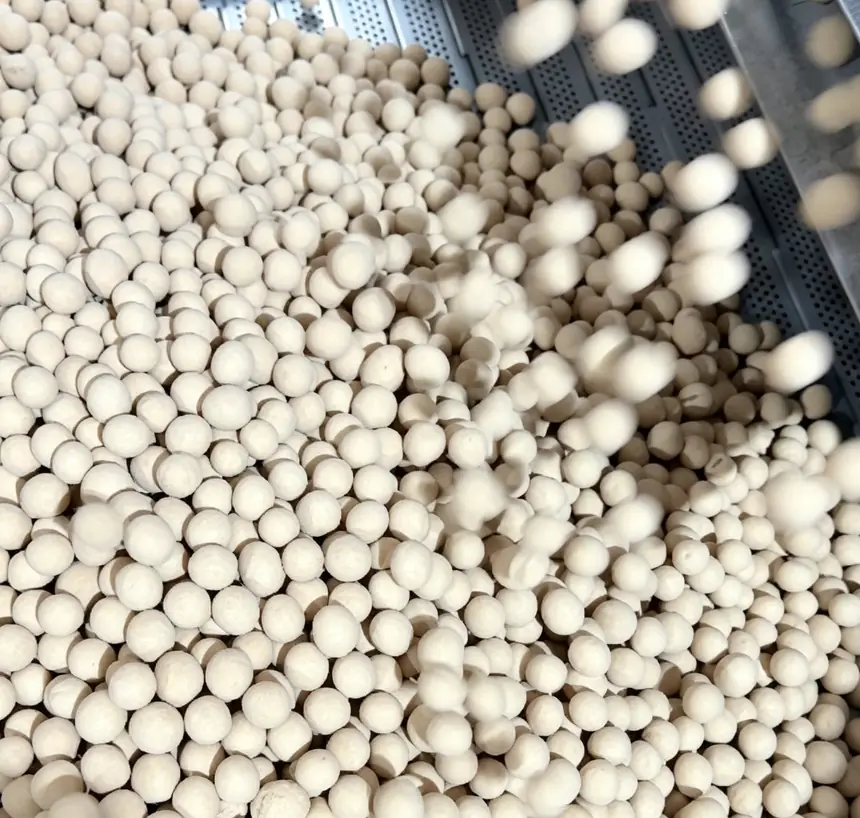 Coated puffed snack — roasting result — Ultipower Tech nut processing machine in production