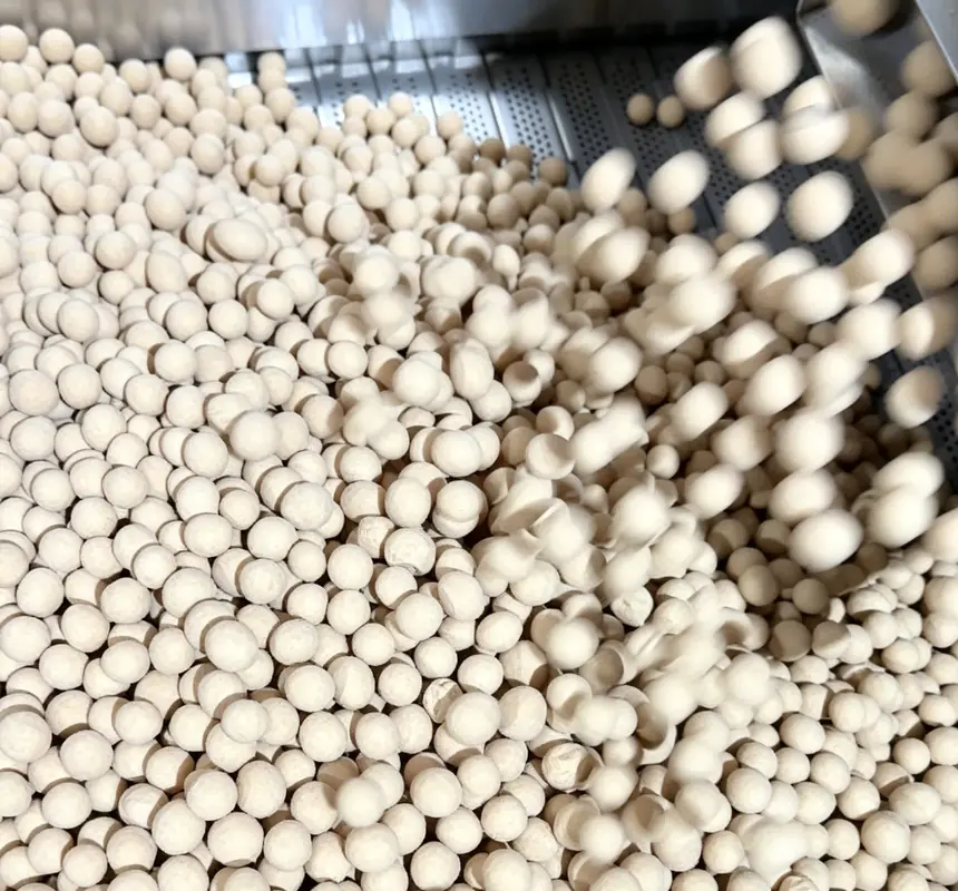 Coated puffed snack — uniform shell — Ultipower Tech nut processing machine in production