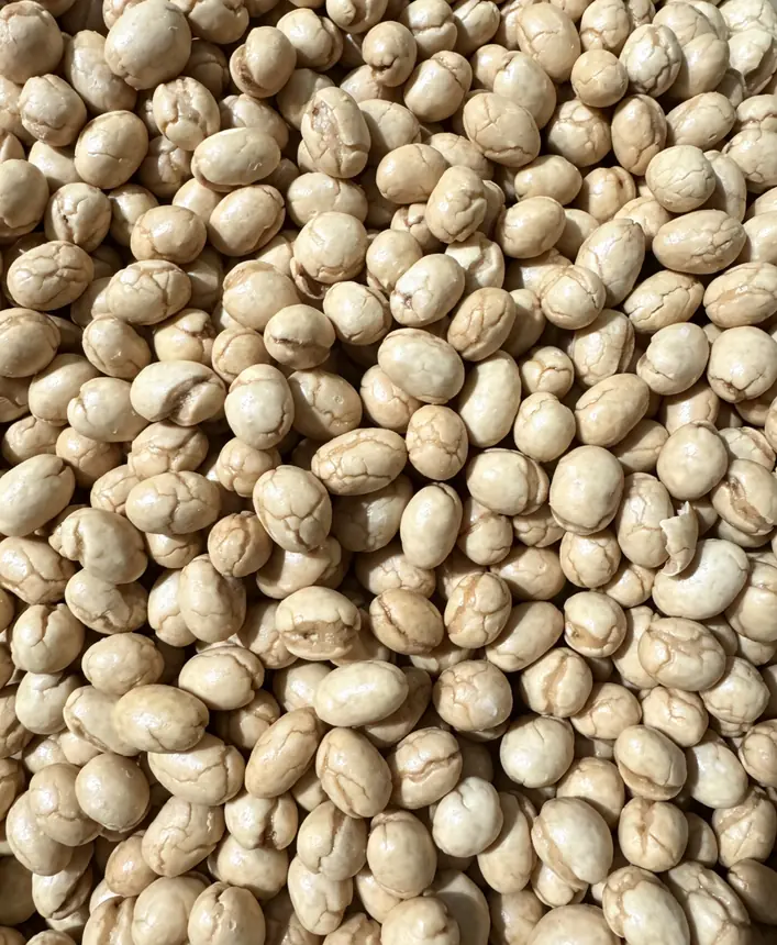 Cracker nut / fish-skin peanut with crackled shell from rotary pan roaster