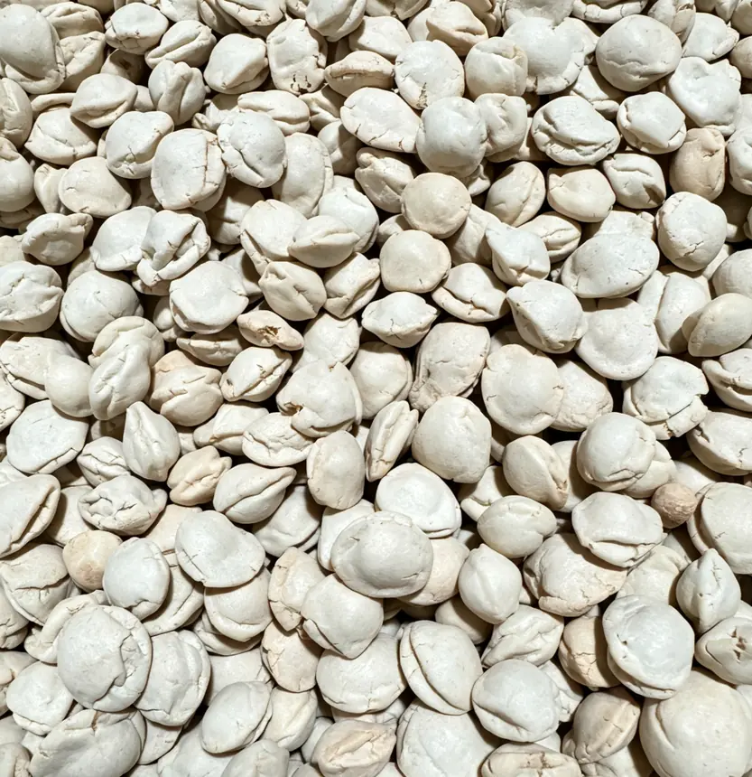 Flattened coated peanut snack produced on a turnkey coating line