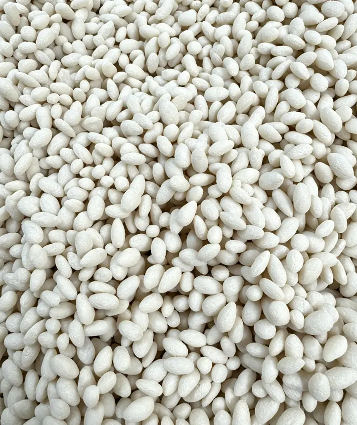 Coated sunflower kernel from fine-spray nut coating machine